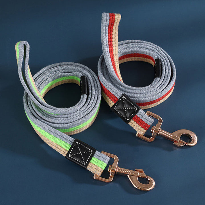 Strong Durable Nylon Dog Leash