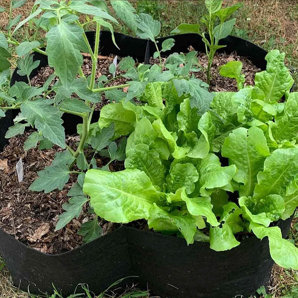 Modular Felt Raised Garden Beds with Adjustable Grid System