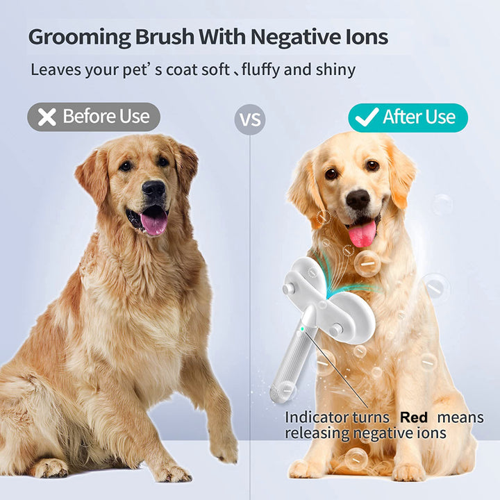 Dual Head Electric Pet Brush