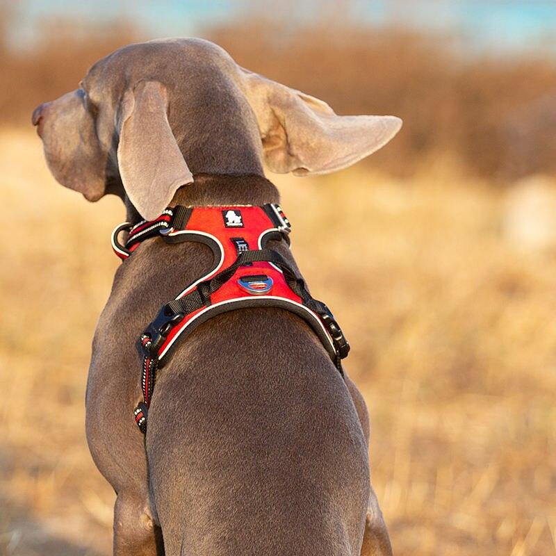 Adjustable No-Pull Dog Harness with Reflective Nylon and Safety Features