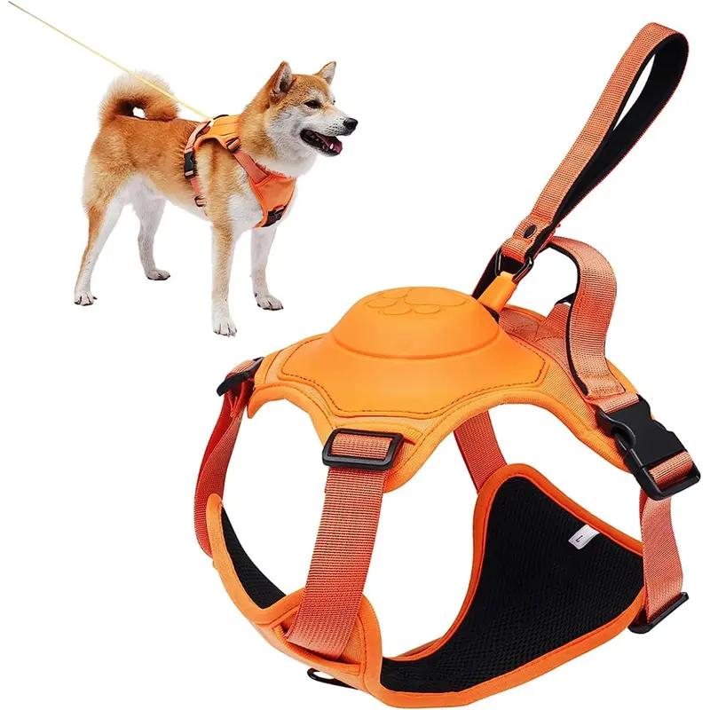 All-in-One Dog Harness and Retractable Leash Set