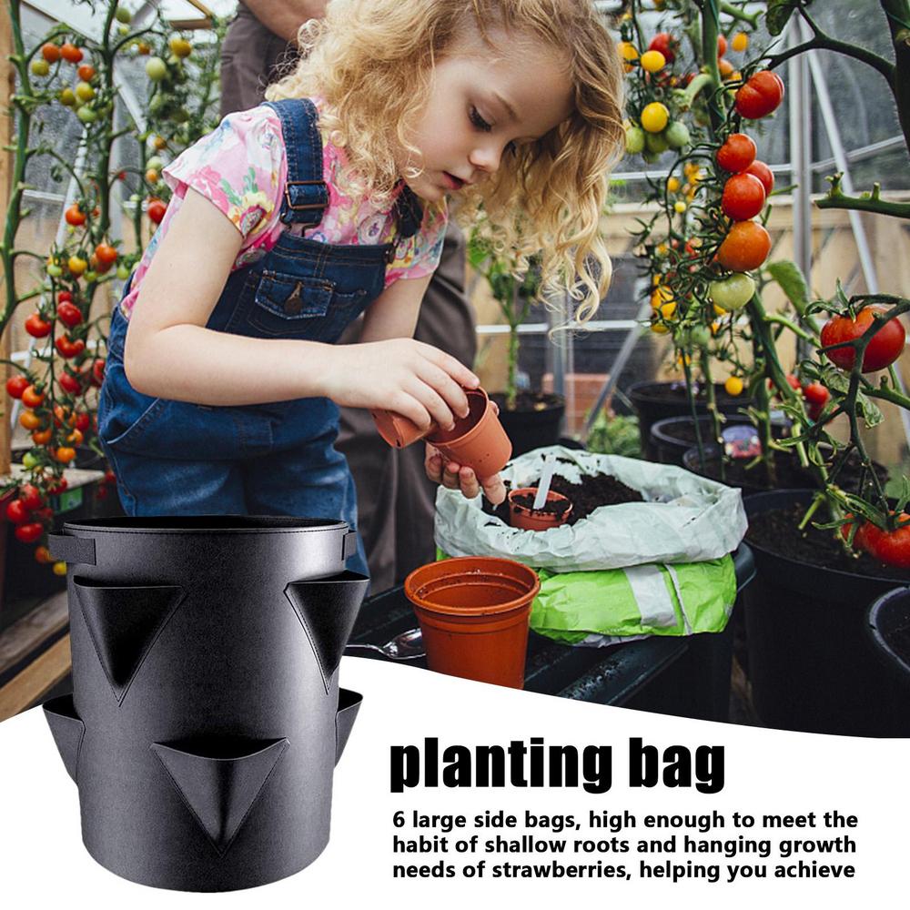 7-Gallon Multi-Pocket Grow Bag for Strawberries, Tomatoes, and More