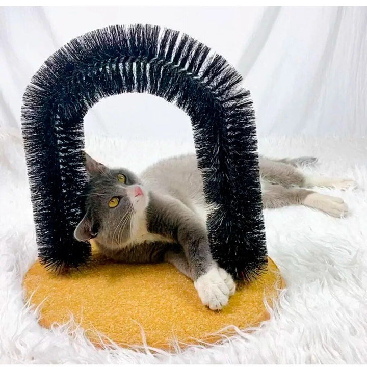 Cat Massage Arch Brush and Play Toy