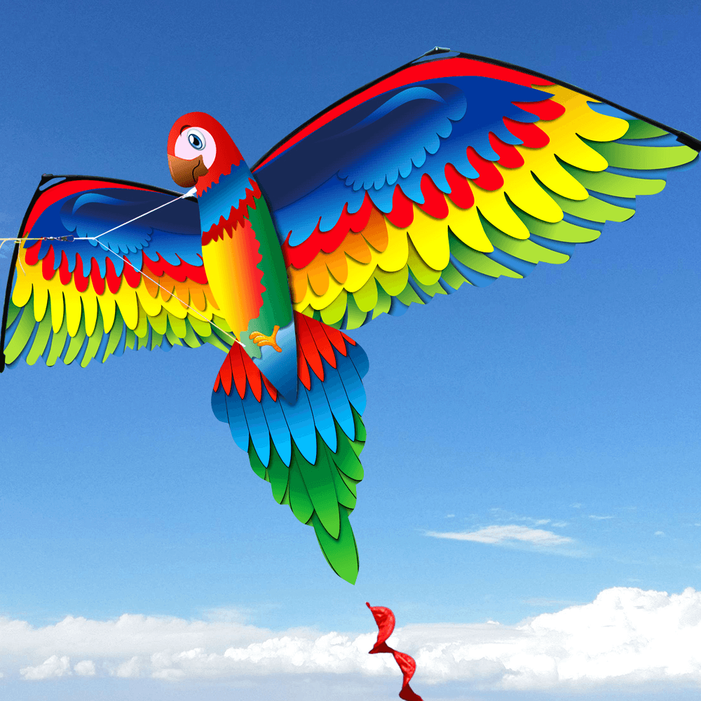 3D Parrot Kite Flyer Kite with 100M Noodle Board＆Spiral Floating Tail Kids Children Adult Beach Trip Park Family Outdoor Games Activities - MRSLM