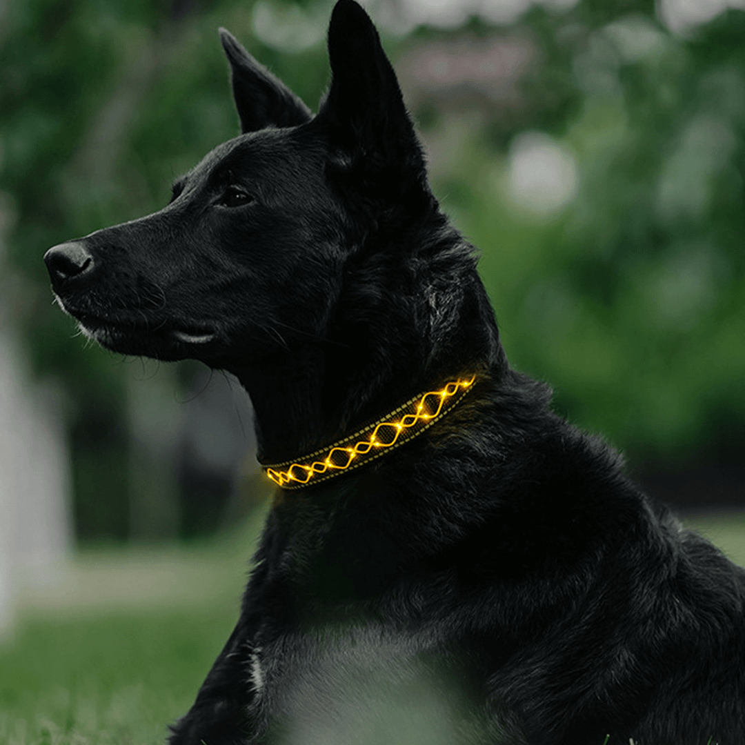 LED Dog Pet Collar Flashing Luminous Safety Night Light Flashing Adjustable - MRSLM