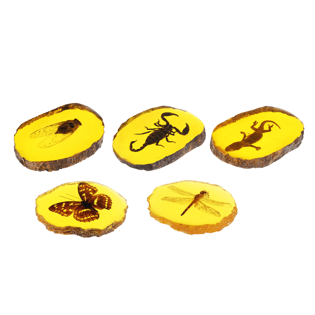 Amber Fossil Insects Dragonfly Manual Polishing Insect Specimen Pendant Craft Decorations - MRSLM