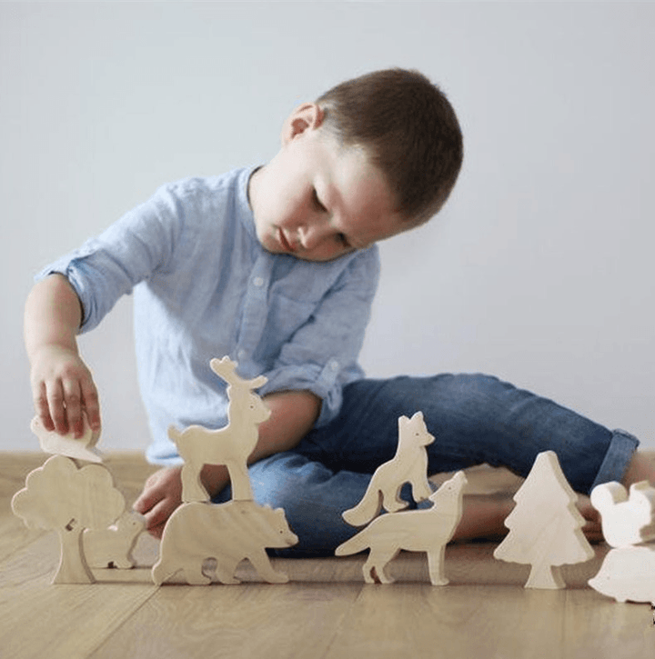 Wooden Scientific and Educational Toys for Children - MRSLM