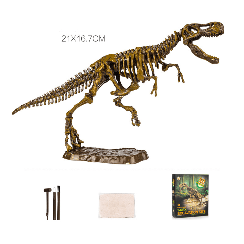 Archaeological Excavation Dinosaur Skeleton Educational Toy - MRSLM