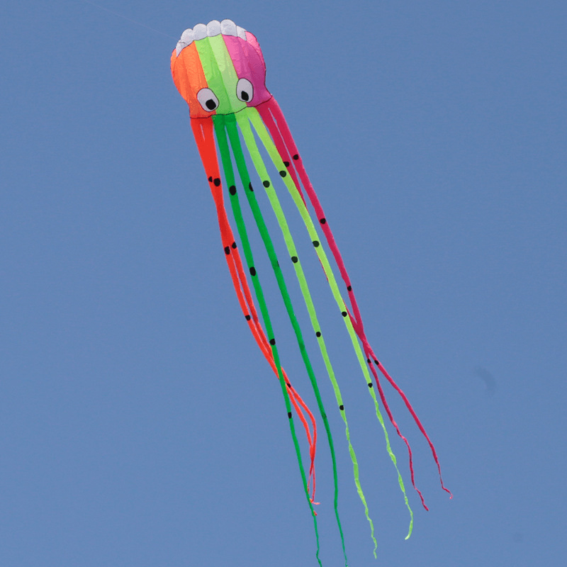 3D Three-Dimensional Software Large Octopus Kite - MRSLM