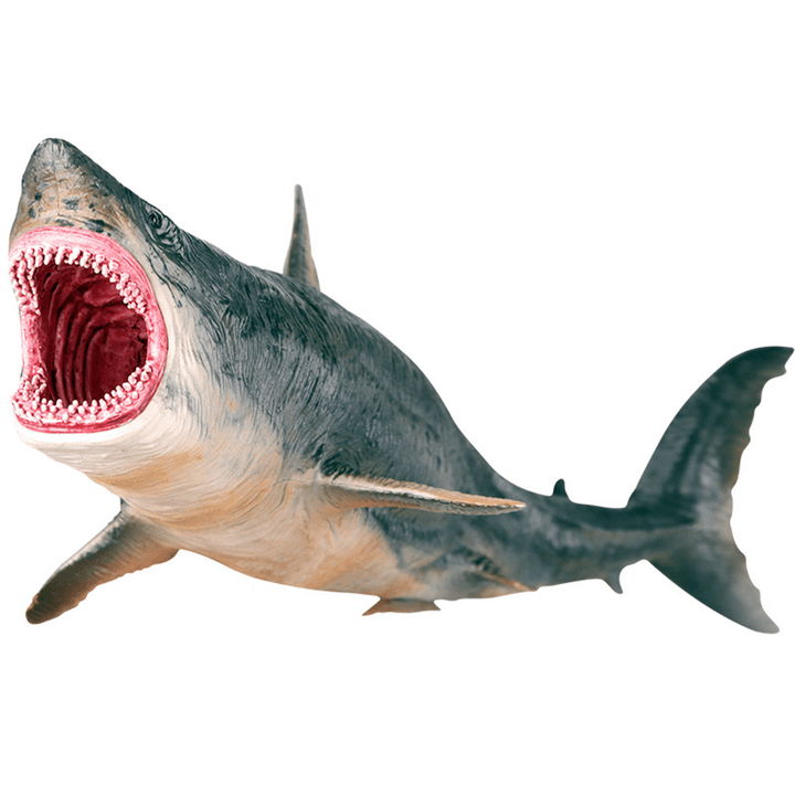 Shark Animal Model Simulation Marine Life PVC Shark Toys Children'S Adult Toys Gifts Decoration - MRSLM