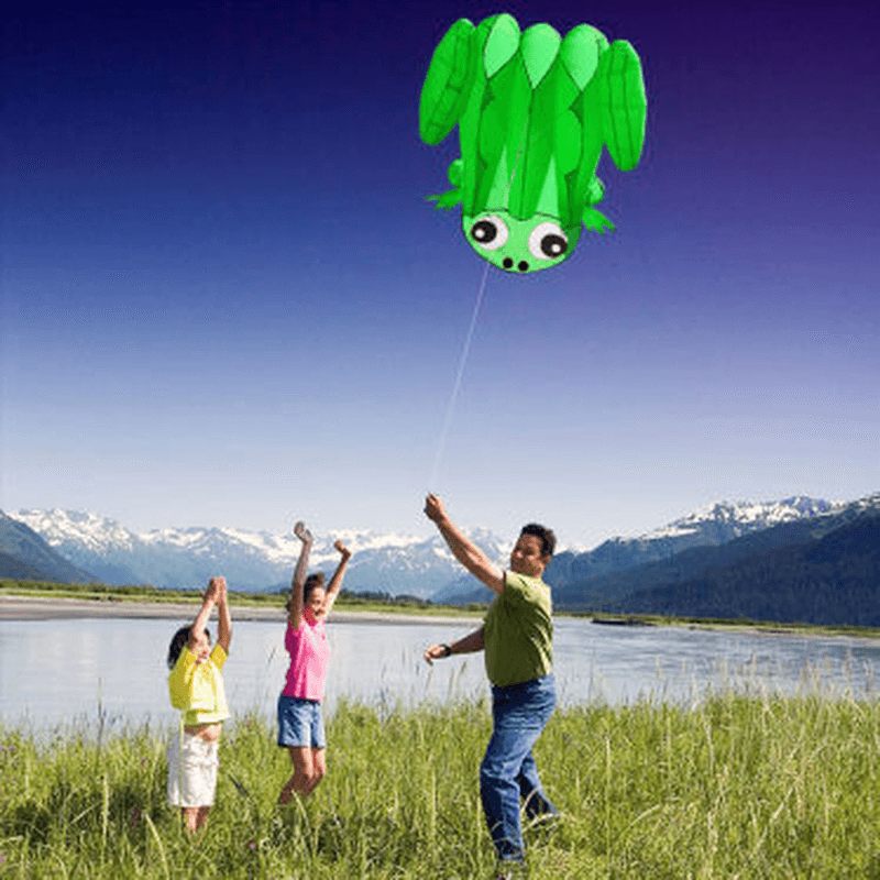 55" Large Frog Soft Kite Easy to Fly Kids Children Adult Beach Trip Park Family Outdoor Games Activities - MRSLM