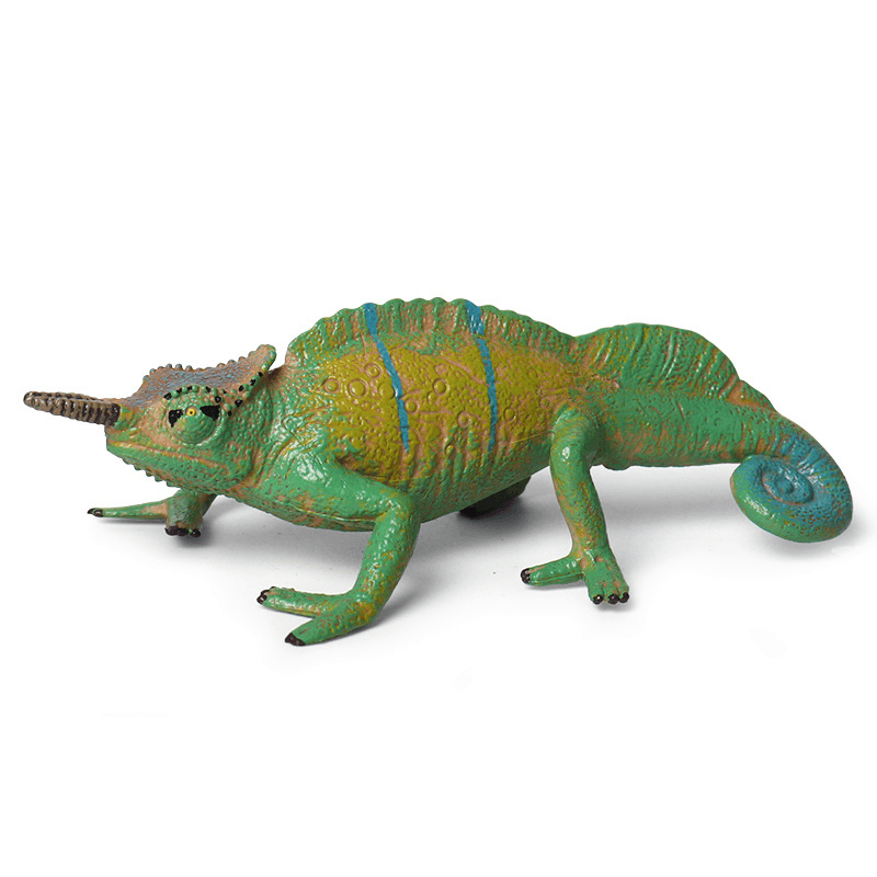 Children'S Cognitive Amphibian Solid Model Decoration - MRSLM