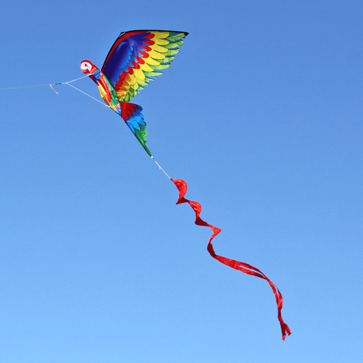 3D Parrot Kite Flyer Kite with 100M Noodle Board＆Spiral Floating Tail Kids Children Adult Beach Trip Park Family Outdoor Games Activities - MRSLM