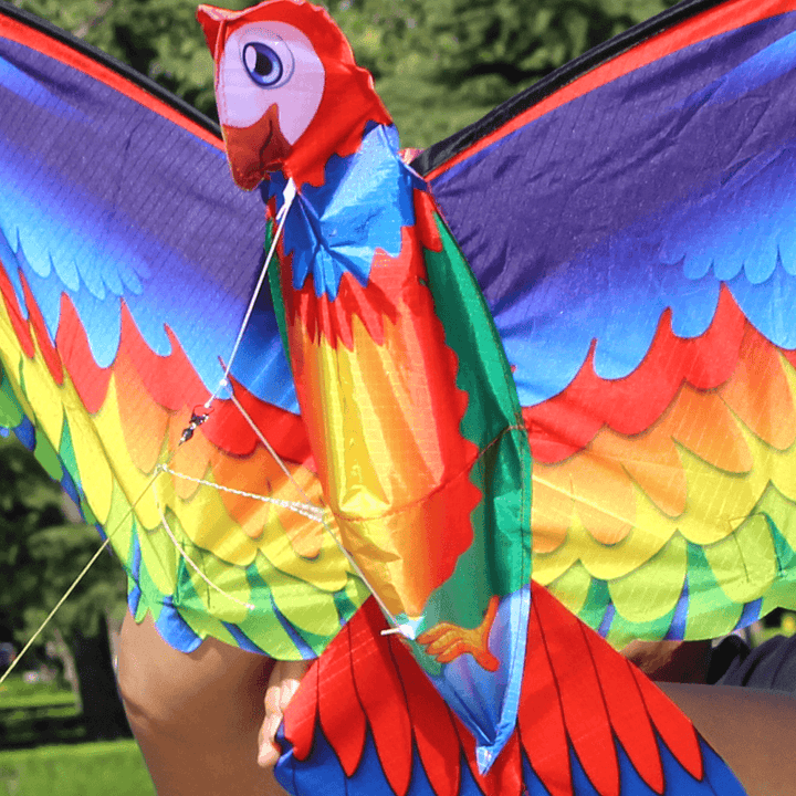 3D Parrot Kite Flyer Kite with 100M Noodle Board＆Spiral Floating Tail Kids Children Adult Beach Trip Park Family Outdoor Games Activities - MRSLM