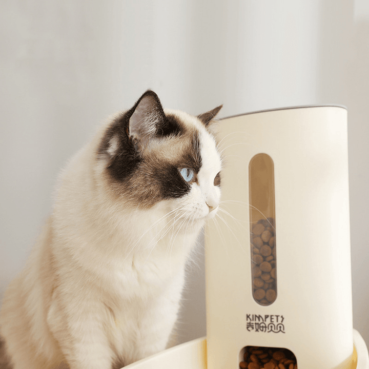 Cat Dog Automatic Feeder Pet Bowl Pet Automatic Water Dispenser Water Bowl - MRSLM