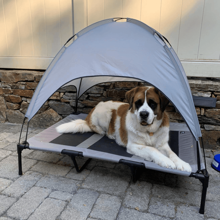 2-In-1 Dog Bed Tent Folding Portable Pet House Waterproof Sunscreen Shelter for Animals Outdoor Camping - MRSLM