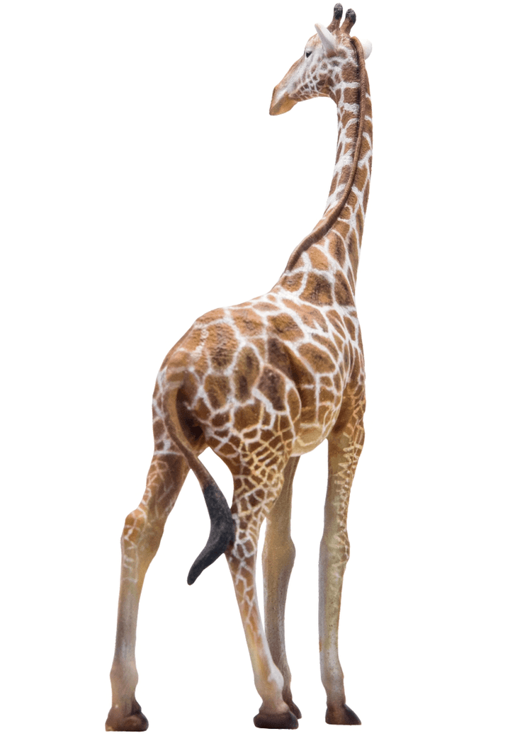 Simulation of Dinosaur King Giraffe in Wildlife Park - MRSLM