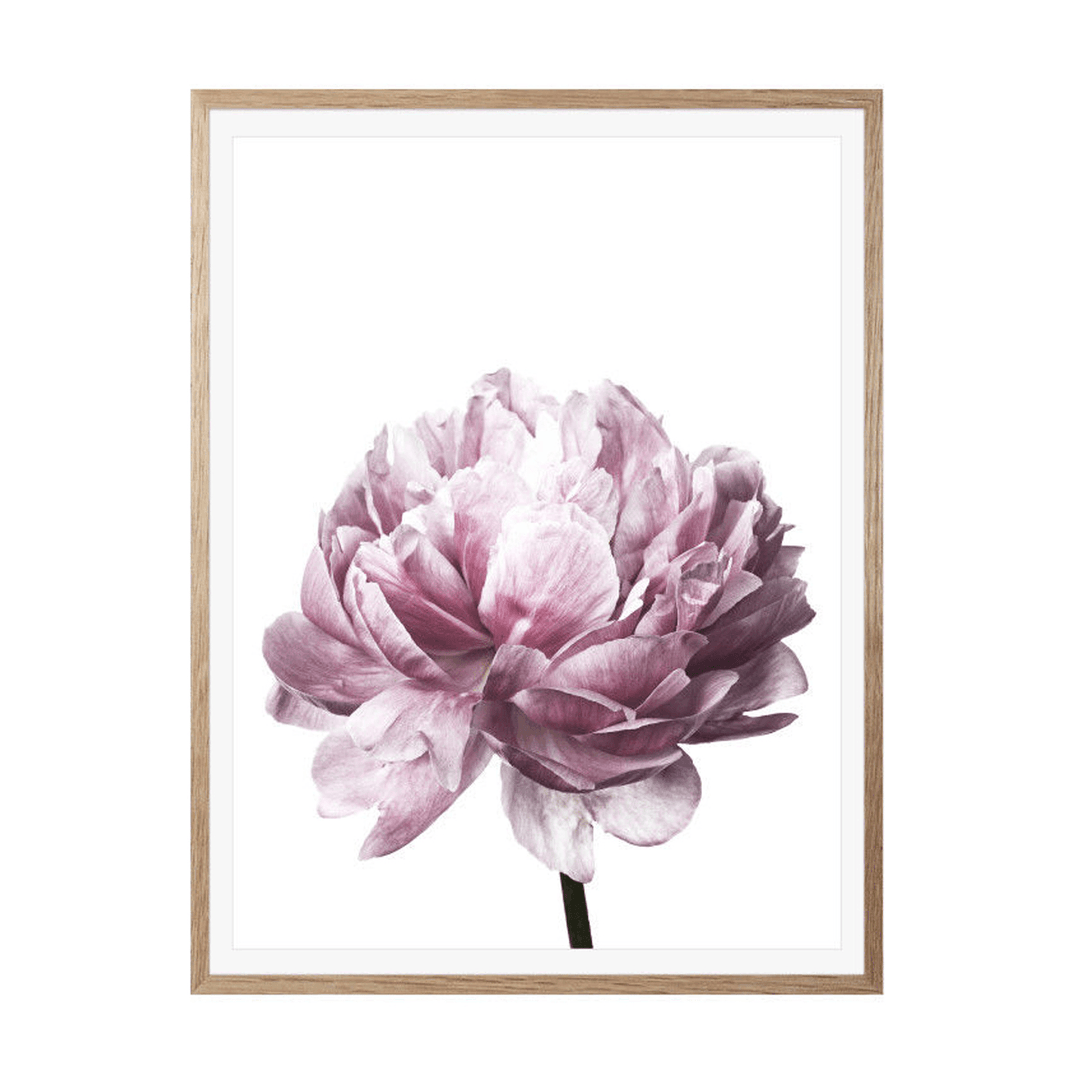 20X30/30X40Cm Flower Modern Wall Art Canvas Paintings Picture Home Decor Mural Poster with Frame - MRSLM