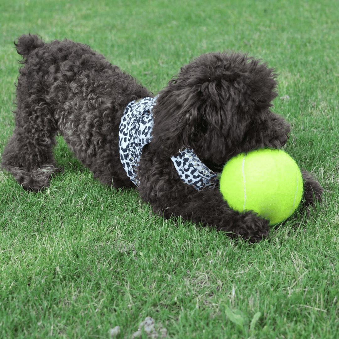 24Cm Big Giant Pet Dog Puppy Tennis Ball Thrower Chucker Launcher Pet Toys - MRSLM