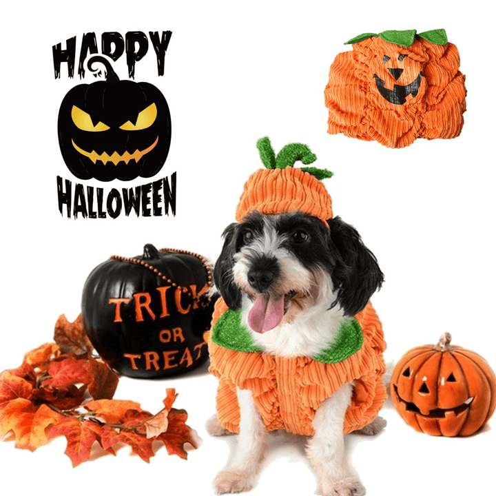 Dog Halloween Costume Dog Collar Pumpkin Design Creative Funny Pet Clothes Decorations - MRSLM