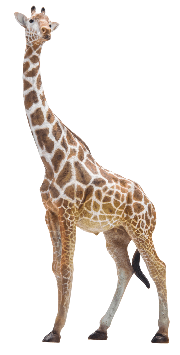 Simulation of Dinosaur King Giraffe in Wildlife Park - MRSLM