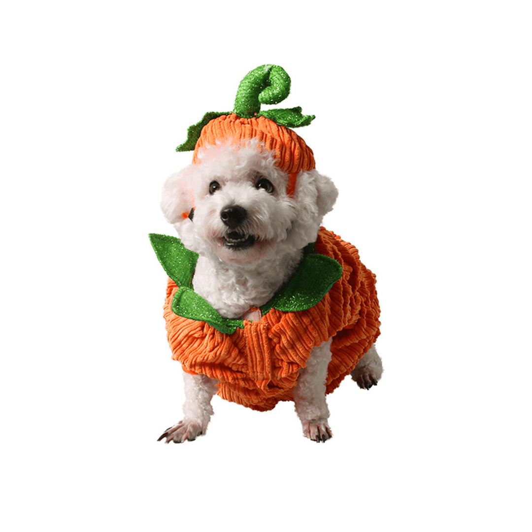 Dog Halloween Costume Dog Collar Pumpkin Design Creative Funny Pet Clothes Decorations - MRSLM