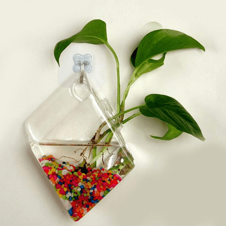 Creative Wall Hanging Transparent Glass Vase Fish Tank Hydroponic Living Room Home Decor - MRSLM