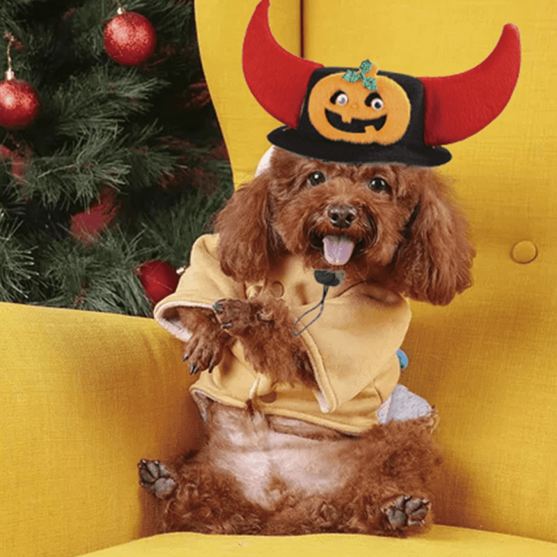 Pet Hat Dog Halloween Christmas Headgear Cat Funny Headwear Supplies - MRSLM