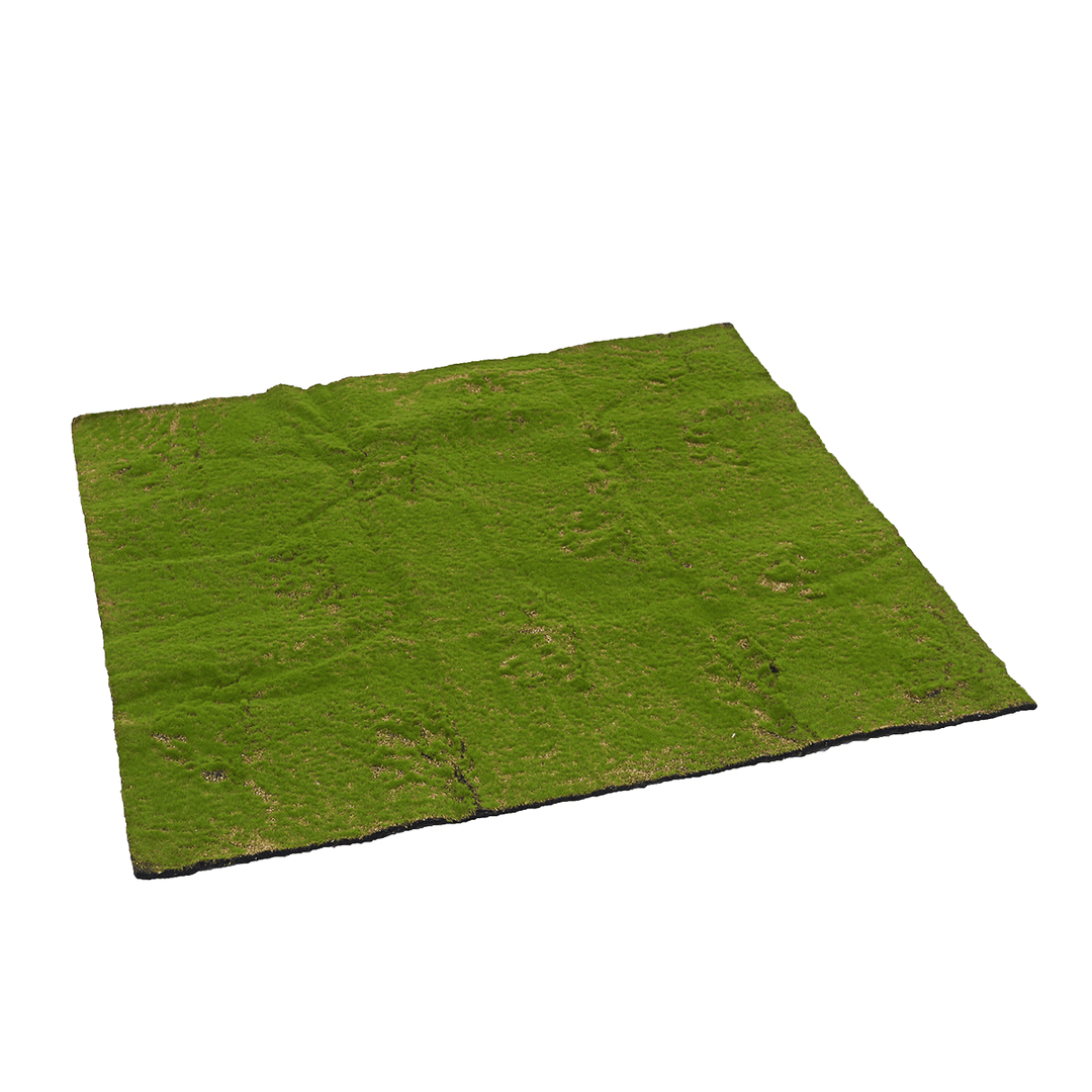 Artificial Moss Grass Synthetic Mat Landscape Lawn Pet Dog Turf Garden Yard Floor Mat - MRSLM