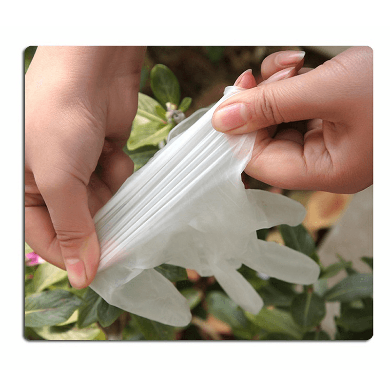 WEISHENG 100*Pcs Disposable PVC BBQ Gloves Waterproof Anti-Infection Safety Glove - MRSLM