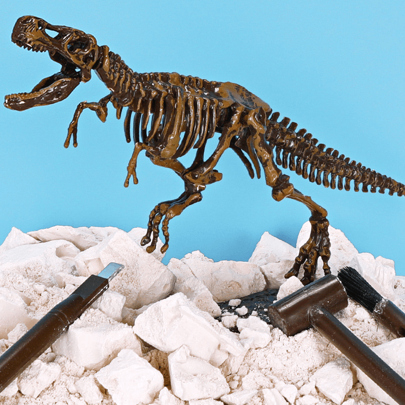 Archaeological Excavation Dinosaur Skeleton Educational Toy - MRSLM