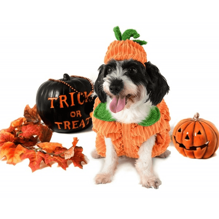 Dog Halloween Costume Dog Collar Pumpkin Design Creative Funny Pet Clothes Decorations - MRSLM