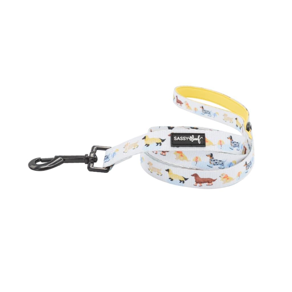 Rainy Dachshund' Dog Fabric Leash - MRSLM