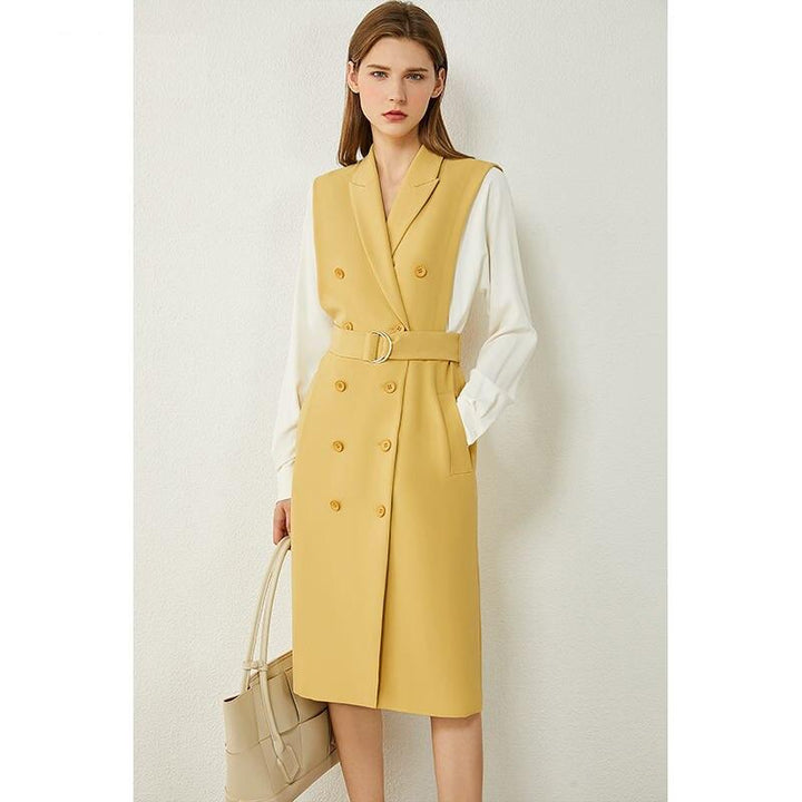 Women's Minimalism Autumn Dress