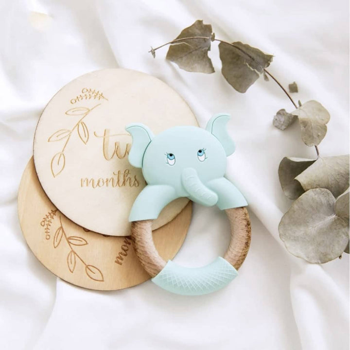 Animal Silicone Teether