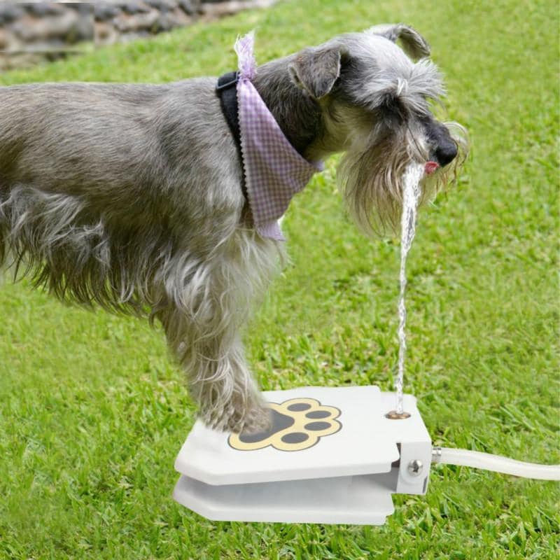 Automatic Outdoor Dog Water Fountain