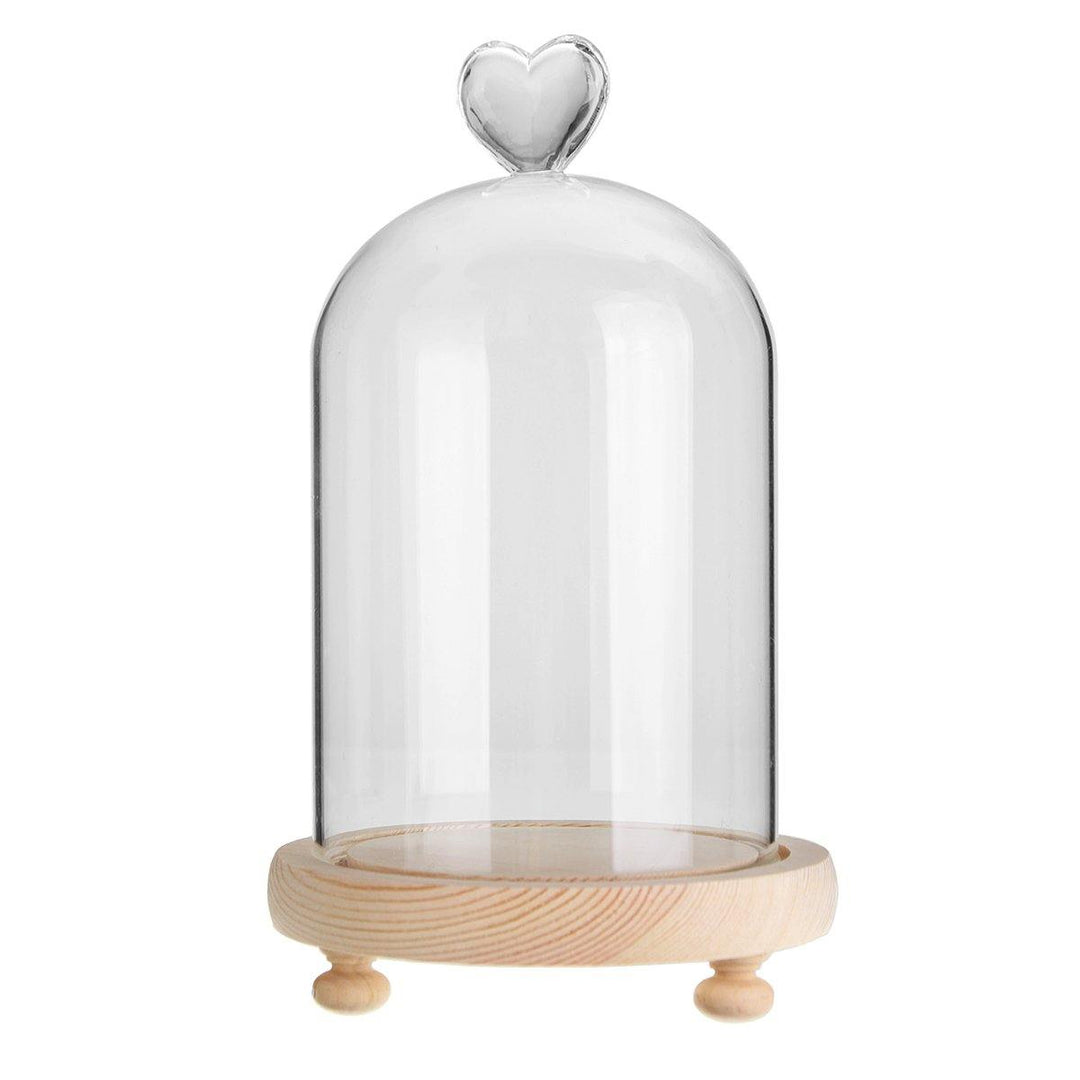 Clear Glass Display Flower Dome Bell Jar Cloche Wooden Base With LED Light Room Decorations - MRSLM