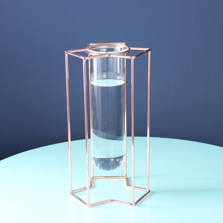 Hydroponic Glass Vase - MRSLM