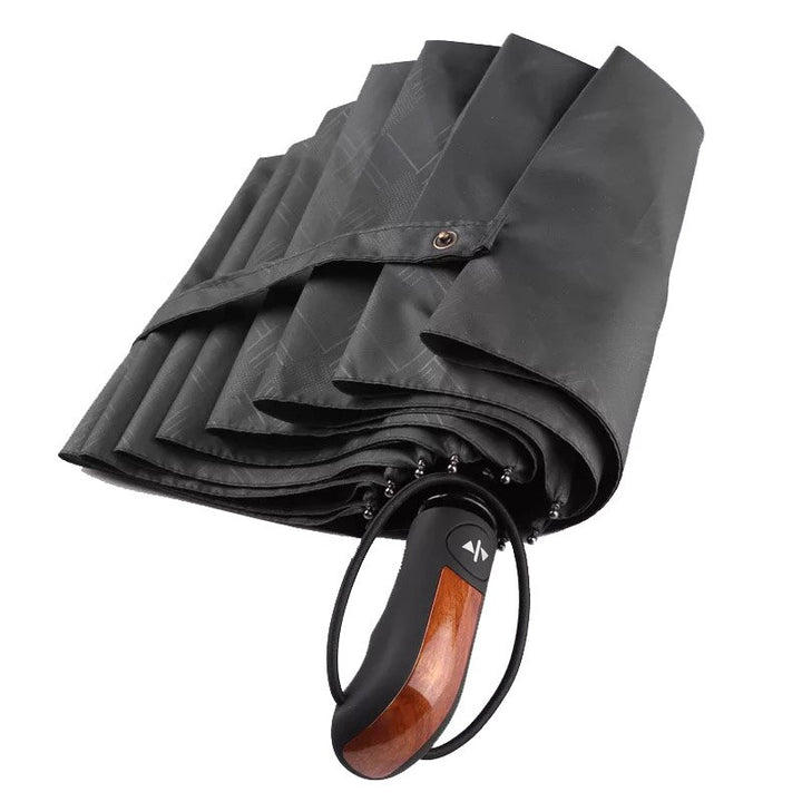 Stylish Automatic Umbrella