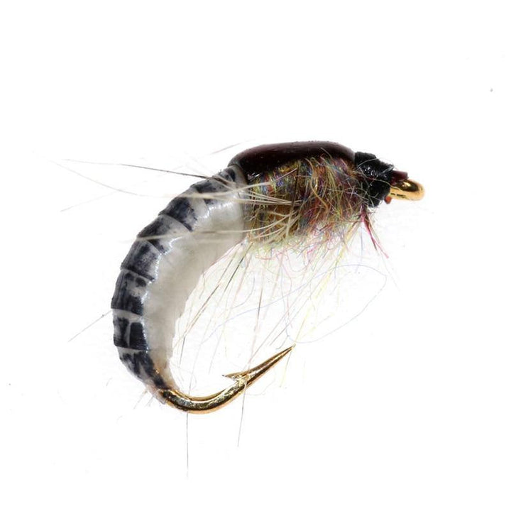 Hot 6Pcs/Set #12 Realistic Nymph Scud Fly for Trout Fishing Artificial Insect Bait Lure Simulated Scud Worm Fishing Lure (1) - MRSLM