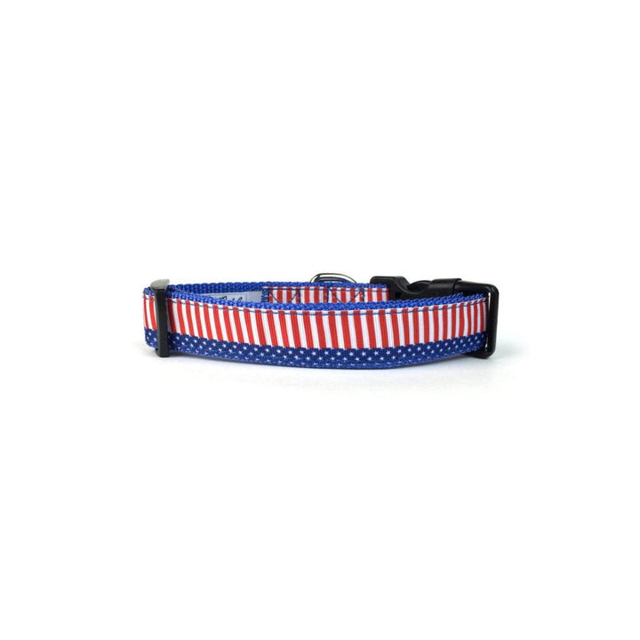 4th of July Star & Stripes Dog Collar - MRSLM