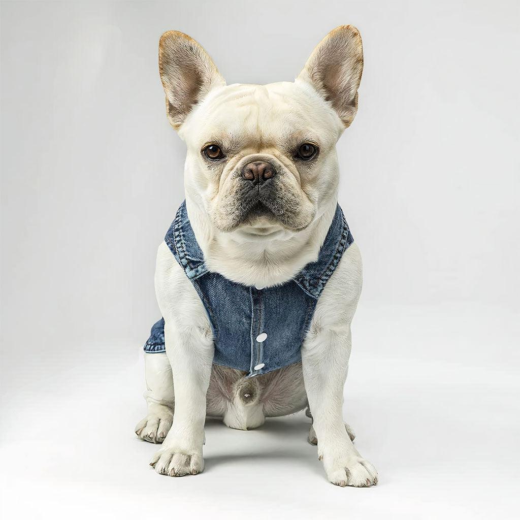 Not Friendly Don't Touch Dog Denim Vest - Quote Dog Denim Jacket - Graphic Dog Clothing - MRSLM