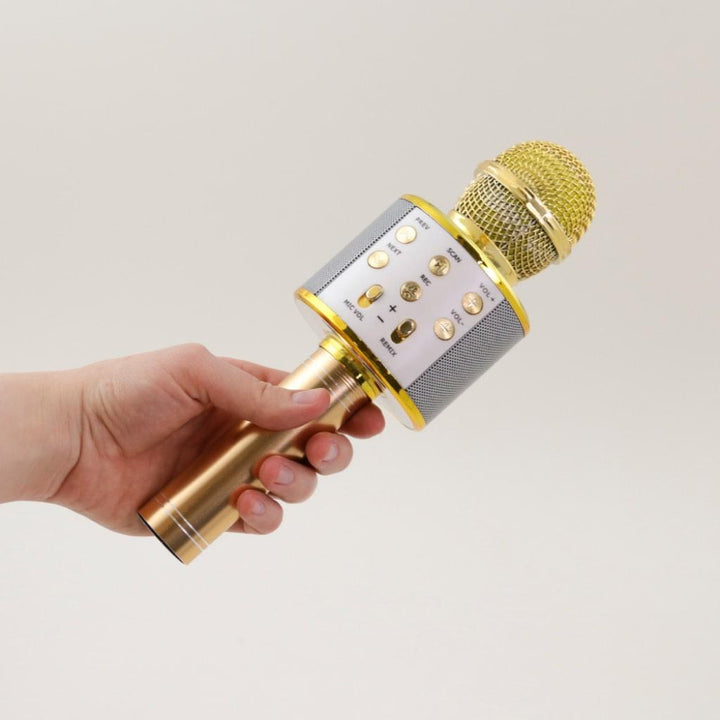 Wireless Karaoke Microphone - MRSLM